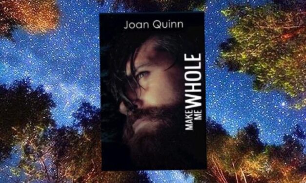 Make Me Whole – Joan Quinn, RECENSIONE