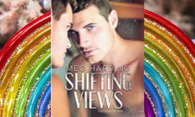Shifting views – Meg Harding, RECENSIONE